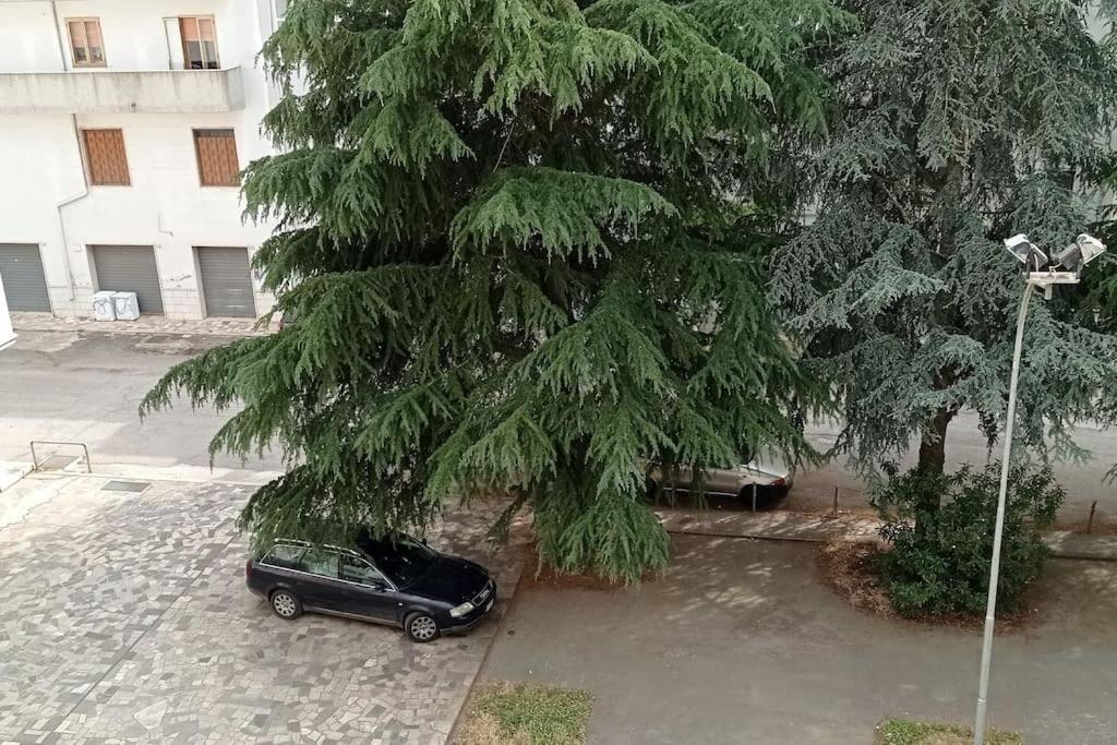 Appartamento Terrazza Bella Vista Cisternino Exterior foto